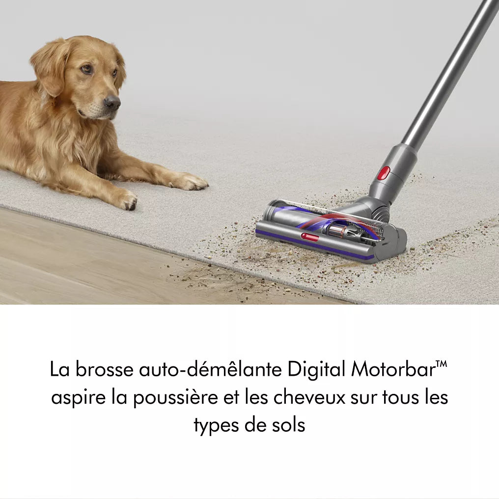 DYSON V15 Detect Absolute